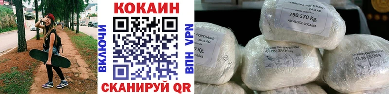 купить наркотики сайты  omg   COCAIN Эквадор  Николаевск 