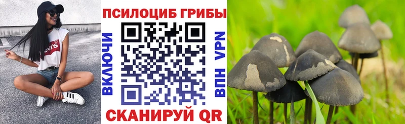 Галлюциногенные грибы Cubensis  Николаевск 
