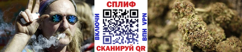 кракен зеркало  Николаевск  Шишки марихуана план 